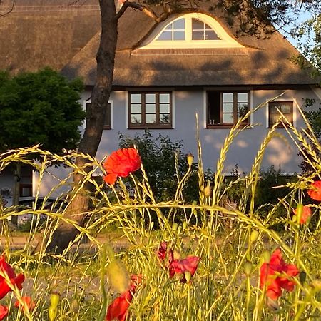 Landhaus Esperort Ahrenshoop Eksteriør billede